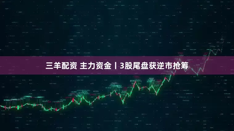 三羊配资 主力资金丨3股尾盘获逆市抢筹